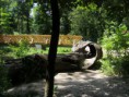 /album/kepgaleria-kirandulas-gaja-volgy/s73f9233-jpg/