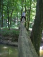 /album/kepgaleria-kirandulas-gaja-volgy/s73f9242-jpg/