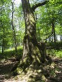 /album/kepgaleria-kirandulas-gaja-volgy/s73f9244-jpg/
