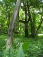 /album/kepgaleria-kirandulas-gaja-volgy/s73f9254-jpg/