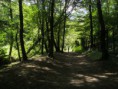 /album/kepgaleria-kirandulas-gaja-volgy/s73f9259-jpg/