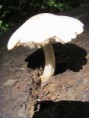 /album/kepgaleria-kirandulas-gaja-volgy/s73f9282-jpg/